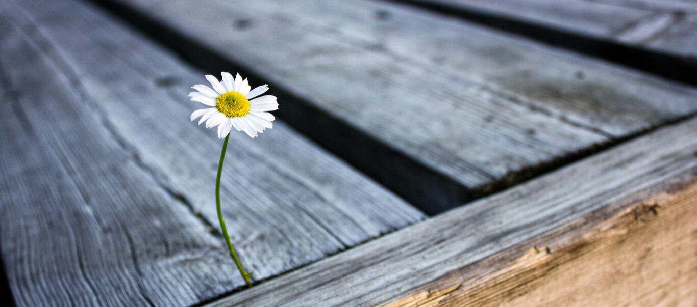 personal-growth-counseling personal-growth-counseling