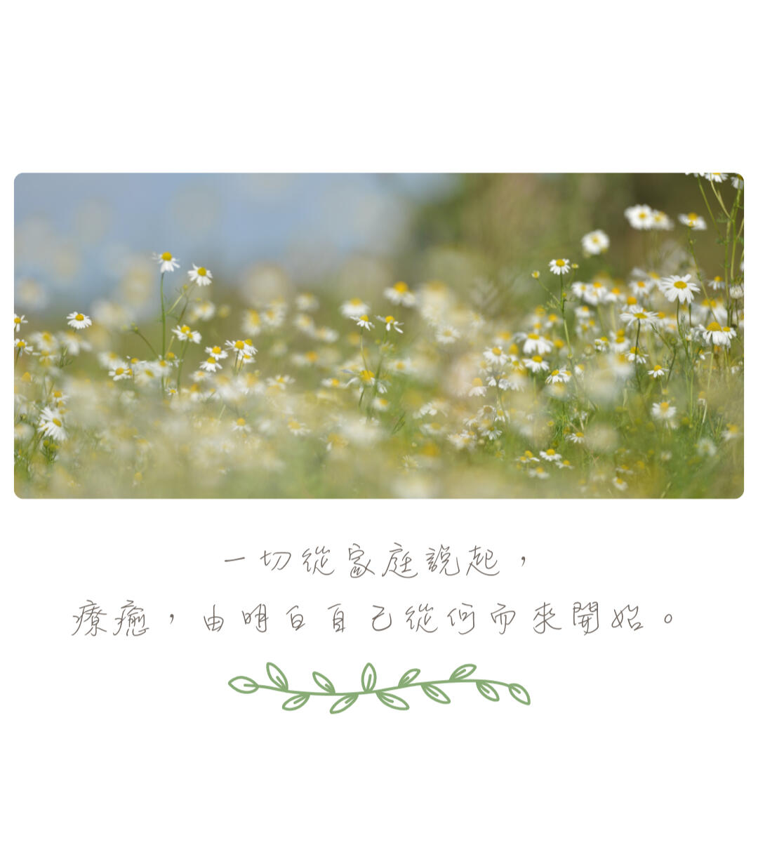 AAMFT-clinical-fellow AAMFT-clinical-fellow